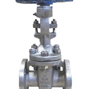Lance Valves 2-inch stainless steel flanged gate valve, Class 150, with rising stem and blue handwheel